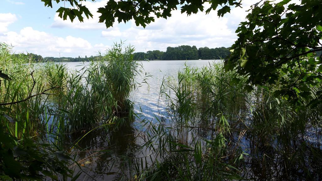 Ferienhaus Natura Neuruppin Zimmer foto