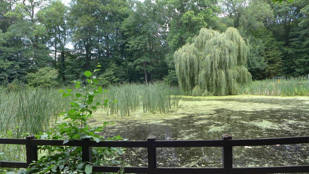 Ferienhaus Natura Neuruppin Zimmer foto