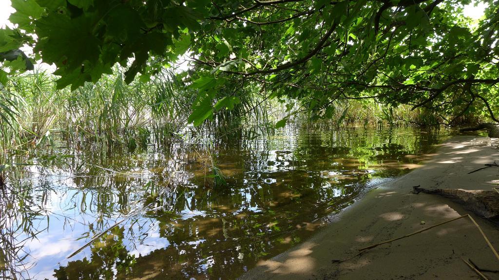 Ferienhaus Natura Neuruppin Zimmer foto
